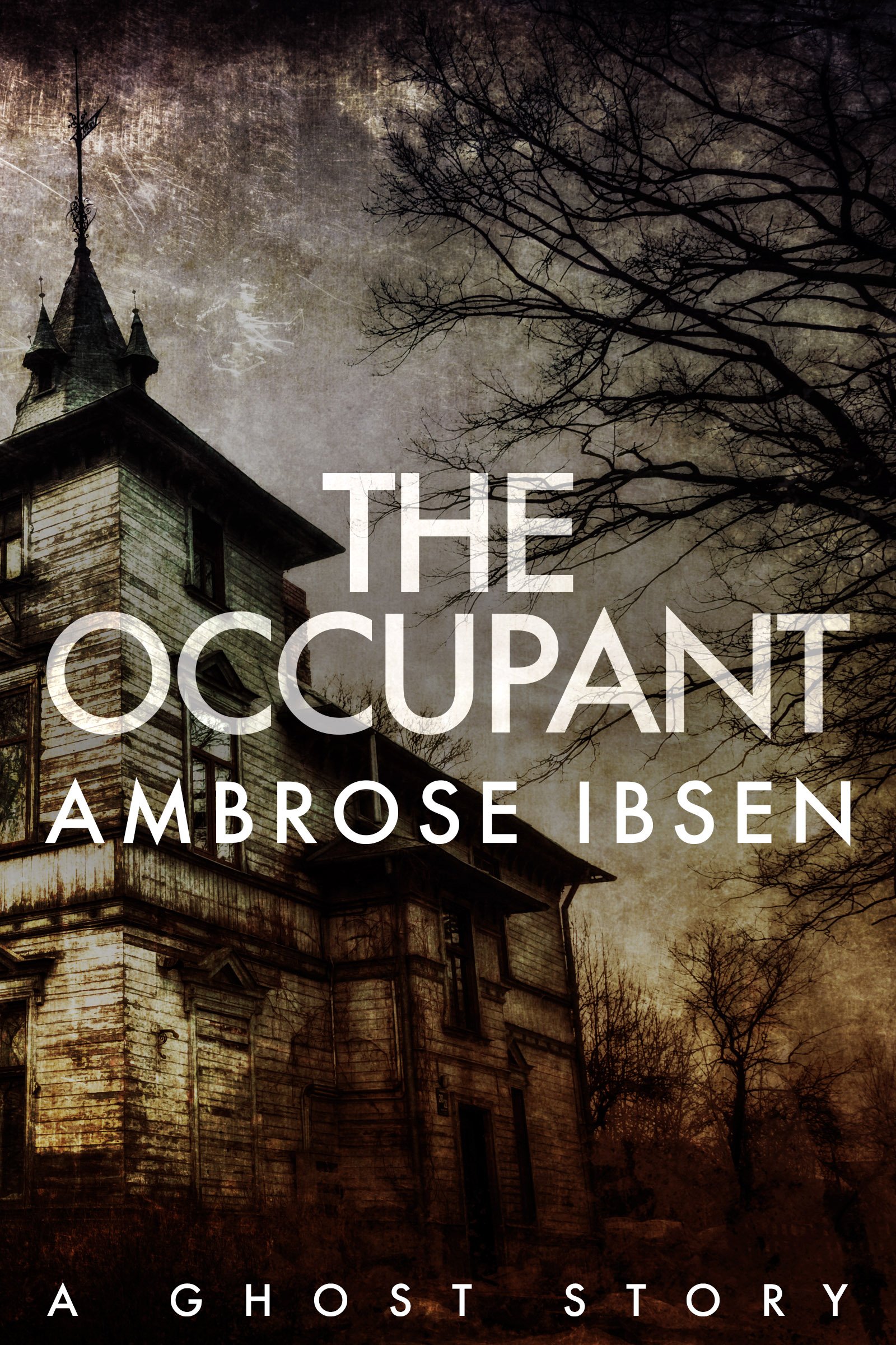 Book Cover The Occupant (The Afterlife Investigations Book 3)