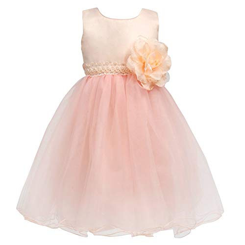 Book Cover Merry Day Little Girls Tulle Flower Dress Ball Gown for Wedding Birthday Partyï¼Œ0-10 Years