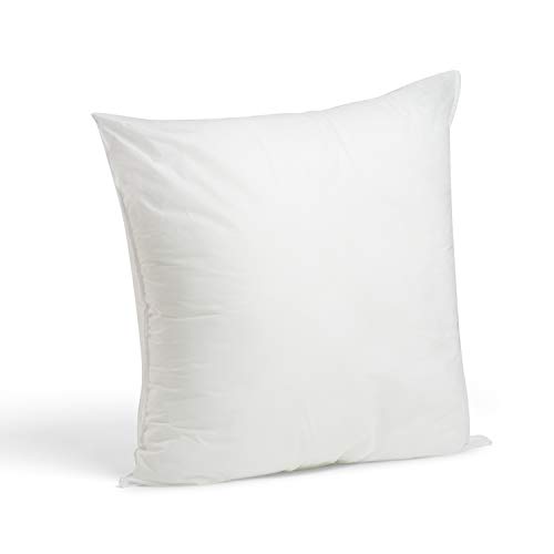 Book Cover Foamily Premium Hypoallergenic Stuffer Pillow Insert Sham Square Form Polyester, 22