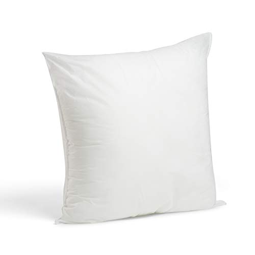 Foamily Premium Hypoallergenic Stuffer Pillow Insert Sham Square Form Polyester, 22" L X 22" W, Standard/White