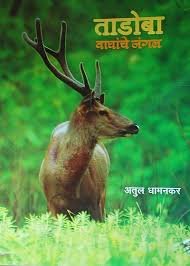 Tadoba - Waghanche Jungle