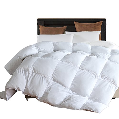 Twin Comforter Duvet Insert White-Soft Plush Fiber Fill,Lightweight Down Alternative Comforter by L LOVSOUL (68x90Inches) Comforter