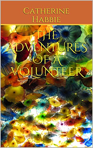 Book Cover The Adventures of a Volunteer
