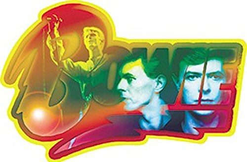 C&D Visionary David Bowie Photo Logo Sticker