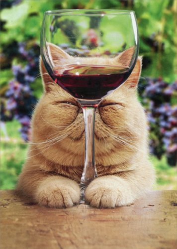 Cat With Glass Of Red Wine - Avanti Funny Birthday Card