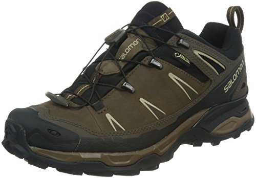Salomon Men's X Ultra LTR GTX Hiking Shoe