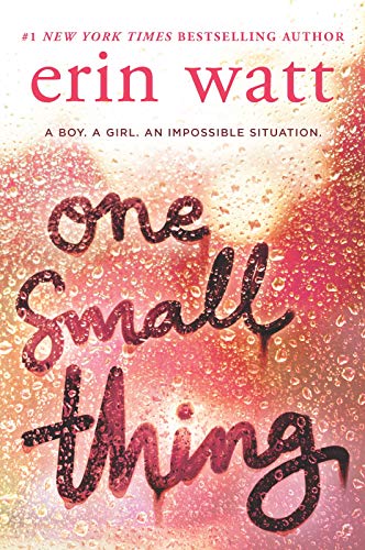 Book Cover One Small Thing