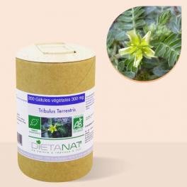 Tribulus Terrestris bio - 120 gélules végétales 300mg