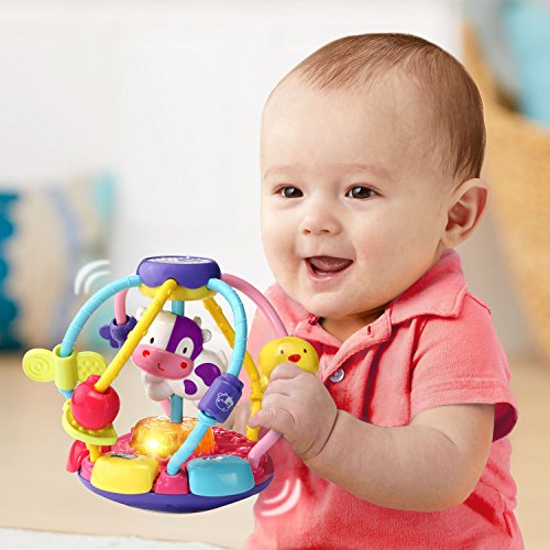 Book Cover VTech Baby Lil' Critters Shake and Wobble Busy Ball Amazon Exclusive, Purple