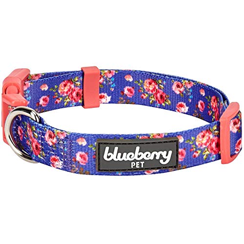 Blueberry Pet 7 Patterns Spring Scent Inspired Rose Print Irish Blue Adjustable Dog Collar, Medium, Neck 14.5"-20"
