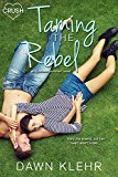 Taming the Rebel (Endless Summer)