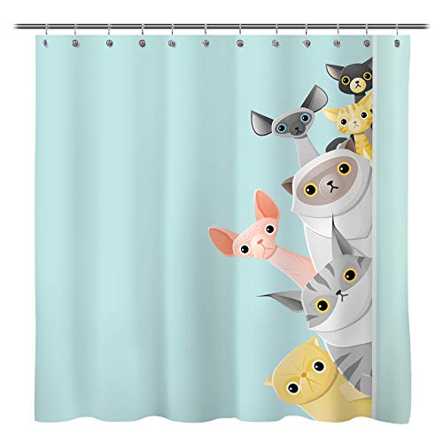 Book Cover Sunlit Cute Striped Shorthair Peekaboo Cats Cartoon Shower Curtain for Kids Cat lover,Funny Curious Kitten Pussy Fabric Bathroom Decor Set with Hooks, Turquoise Aqua Blue, PVC-Free Odorless.