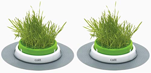 Catit Senses 2.0 Grass Planter 2-Pack