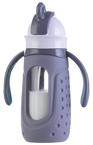 Drinkadeux Insulated Glass Bottle with Straw and Handles, Graphite
