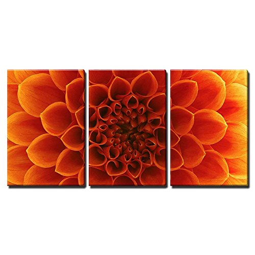 Book Cover wall26 - 3 Piece Canvas Wall Art - Abstract flower and beautiful petals - Modern Home Decor Stretched and Framed Ready to Hang - 16