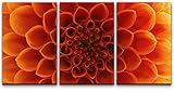 wall26 Canvas Print Wall Art Orange Chrysanthemum Flower Petal Close Up Floral Botanical Photography Modern Rustic Relax/Calm Multicolor Colorful for Living Room, Bedroom, Office - 16"x24"x3 Panels
