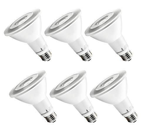 Hyperikon LED PAR30 Dimmable Bulb,12W, 2700K (Warm White), CRI 90+, Indoor/Outdoor Flood Light Bulb - Kitchen, Bedroom, Recessed Lighting, Spot Light (6 Pack)
