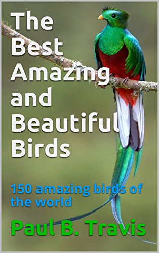The Best Amazing and Beautiful Birds: 150 amazing birds of the world