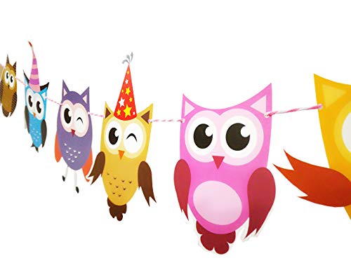 Book Cover E&L 2 Set Owl Pal Party Themed Decorations Kit, Birthday Party Supplies, Birthday Party Banner, Set of 10 Pieces Different Colorful Owl Flags Different Pattern