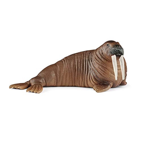 Book Cover Schleich Wild Life, Animal Figurine, Animal Toys for Boys and Girls 3-8 Years Old, Walrus