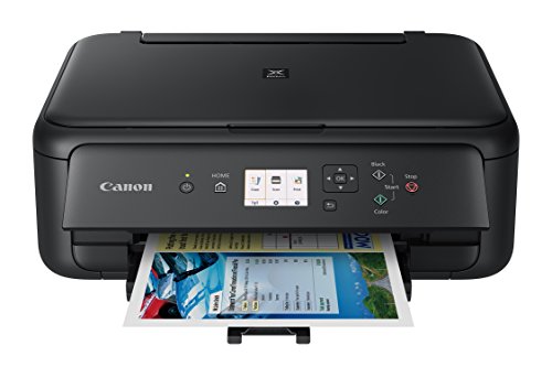 Canon TS5120 Wireless Printer with Scanner and Copier: Mobile and Tablet Printing, with Airprint(TM) and Google Cloud Print compatible, Black