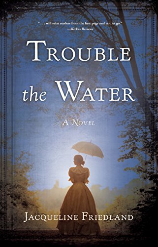 Book Cover Trouble the Water: A Novel