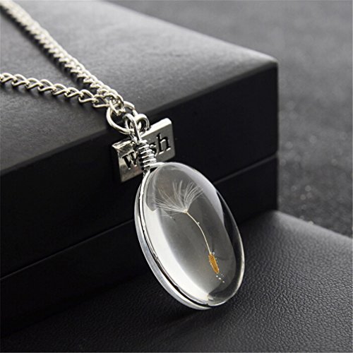 Rurah Natural dandelion chain glass ball pendant necklace dry flower,DDN001