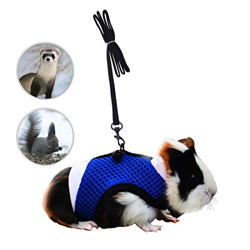 Soft Mesh Small Pet Harness with Safe Bell, No Pull Comfort Padded Vest Durable Nylon Guinea Pig Harness and Leash Set Adjustable All Season for Rats, Iguana, Hamster, Bearded Dragon