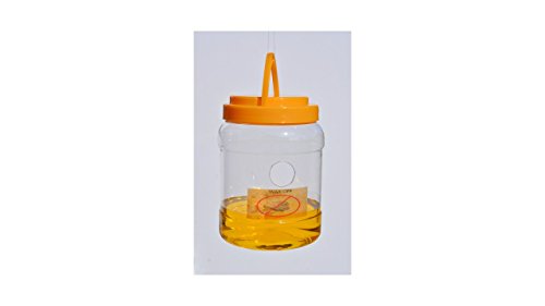 Wax-Off Wax Moth Trap - Protect your Beehive - Save the Bees