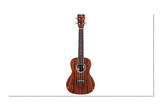 Book Cover Cordoba Guitars 6-String 15CB Bocote Concert Ukulele (03907)
