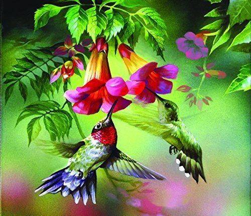 Book Cover SunsOut Hummingbirds 25 Large Piece Jigsaw Puzzle