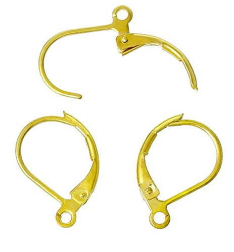 Book Cover 50pcs Hypoallergenic Earring Hooks Leverback Ear Wires Earwire 17mm Long Gold Plated Brass Earrings Making Findings CF191