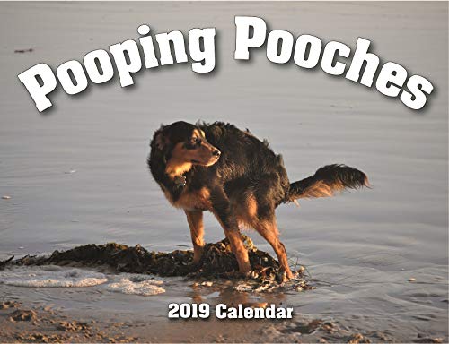 Book Cover 2019 Pooping Pooches White Elephant Gag Gift Calendar