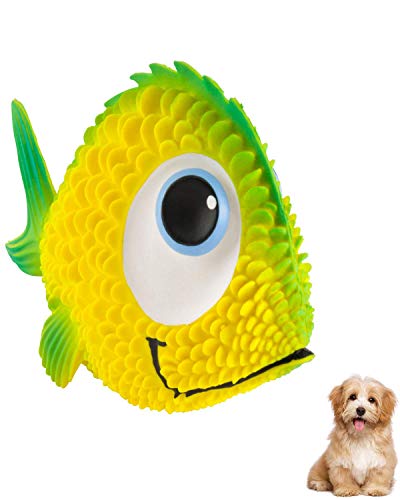 Book Cover Sensory Fish - Squeaky Dog Toys - Soft, Natural Rubber (Latex) - Puppy - Small Dogs - Medium Dogs & Blind Dogs - Indoor Play - Complies with Same Safety Standards as Children's Toys (1 Pack)