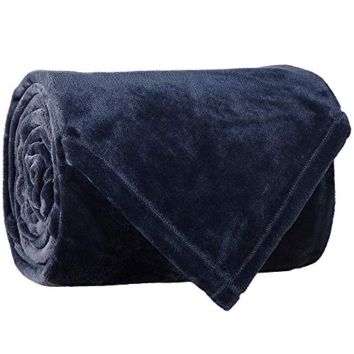 Book Cover LBRO2M Fleece Bed Blanket Queen Size Super Soft Warm Fuzzy Velvet Plush Throw Lightweight Cozy Couch Blankets ((90x90 Inch) Royal Blue
