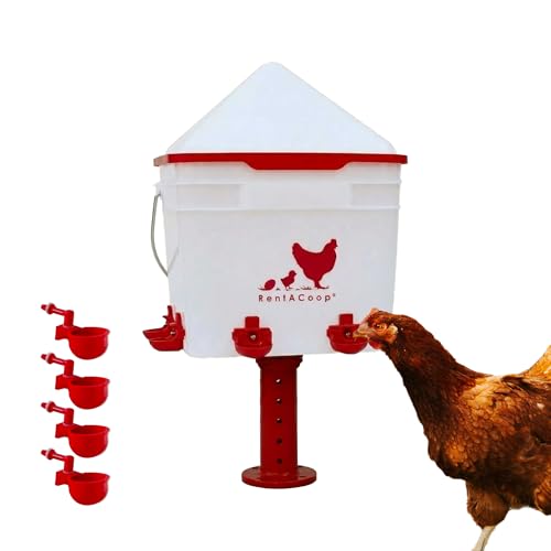 RentACoop 2 Gallon Chicken Waterer, BPA-Free Plastic Bucket Waterer Set with 4 Horizontal Nipples, Large Capacity Poultry Waterer - Corner Placement