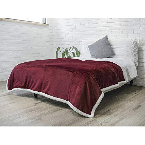 PAVILIA Plush Sherpa Fleece Blanket Throw, Twin, Burgundy Red | Soft, Warm, Fuzzy Wine Maroon Throw for Couch Sofa | Solid Reversible Cozy Microfiber Fluffy Blanket, 60x80