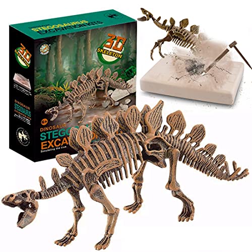 Book Cover Dig & Discover Dino Stegosaurus Dinosaur Skeleton 3D Fossil Bones Excavation, Science Educational Toy Kit for Kids, Children