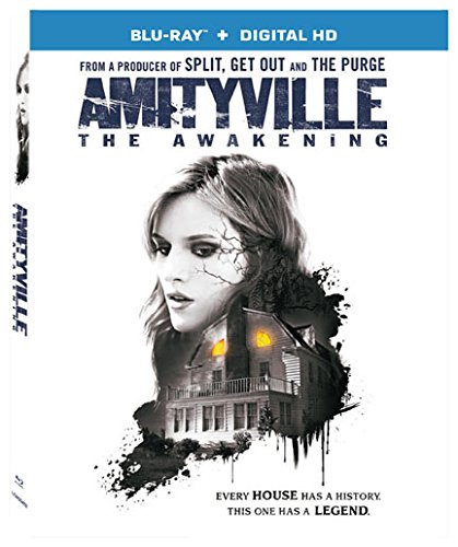 Book Cover Amityville: The Awakening
