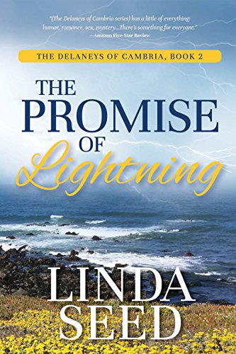 Book Cover The Promise of Lightning (The Delaneys of Cambria Book 2)