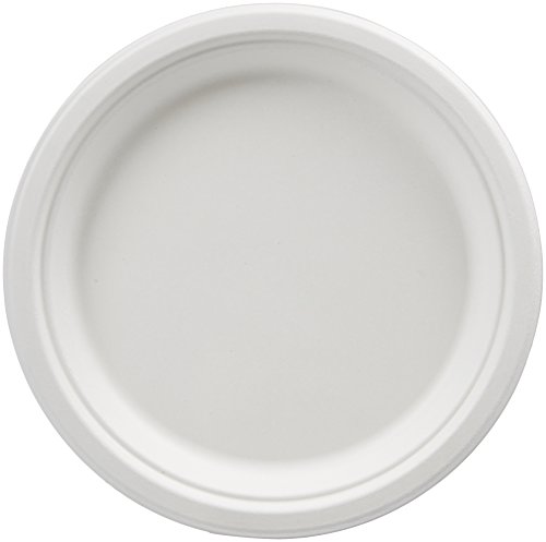 Book Cover Amazon Basics Compostable Plates, 9-Inch, Pack of 500