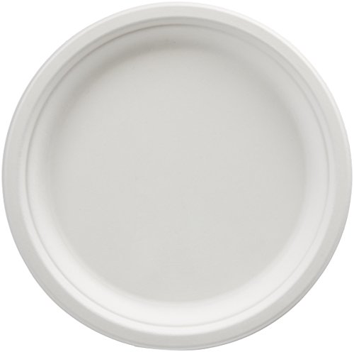 AmazonBasics Compostable Plates, 10-Inch, 500-Count