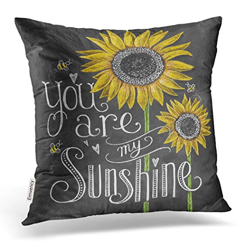 Book Cover Accrocn Decorative Throw Pillow Cover 18x18 Inches You Are My Sunshine Sunflowers Chalk Painting Cotton Decorative Pillowcases With Hidden Zipper Decor Cushion Covers