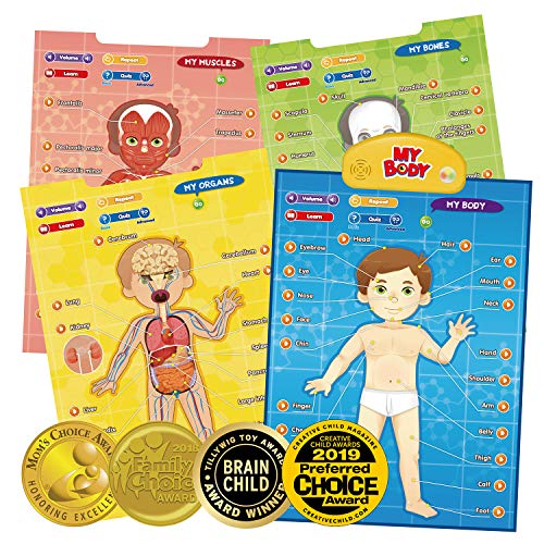 Book Cover BEST LEARNING i-Poster My Body - Interactive Educational Human Anatomy Talking Toy to Learn Body Parts, Organs, Muscles and Bones for Kids