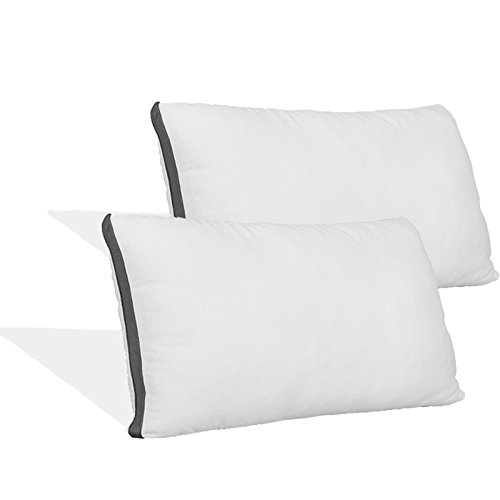 Book Cover Coop Home Goods - Pillow Protector - Waterproof and Hypoallergenic - Protect Your Pillow Against Fluids/Spills/Mites/Bed Bugs - Oeko-TEX Certified Lulltra Fabric - King (2 Pack)