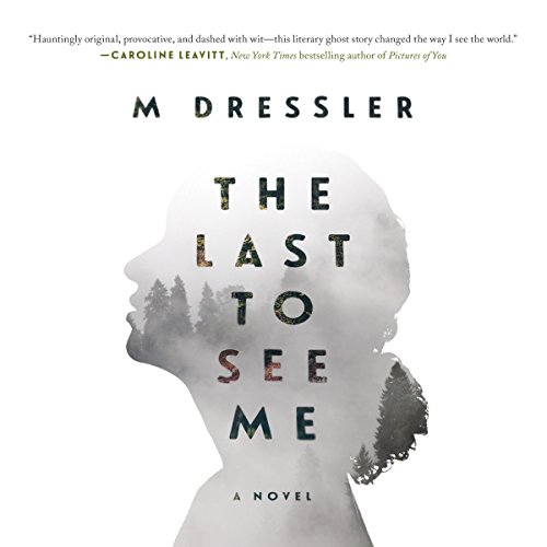 Book Cover The Last to See Me: A Novel