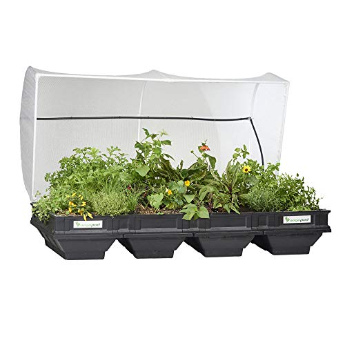 Book Cover Vegepod Large - Raised Garden Bed Kit, 78.7in x 39.4in (2m x 1m) Container with Protective Cover, Self Watering, Easy Assembly