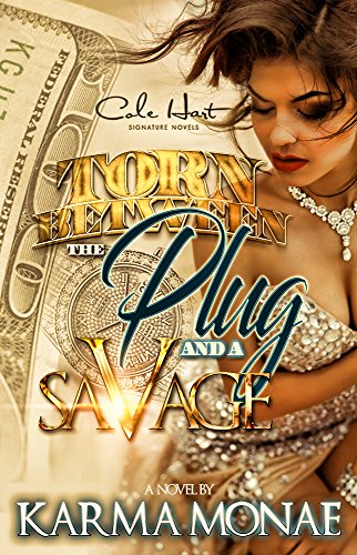 Book Cover Torn Between The Plug And A Savage