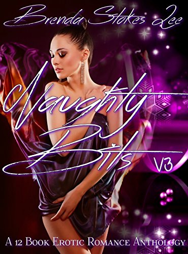 Book Cover Naughty Bits, V3: A 12 eBook Erotic Romance Box Set