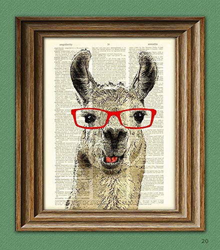 Llama Loves the Drama! Llama Smarty Pants With Red Glasses Illustration Beautifully Upcycled Dictionary Page Book Art Print